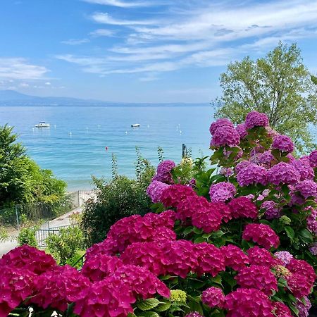 Front Lake Amazing View Manerba del Garda Dış mekan fotoğraf